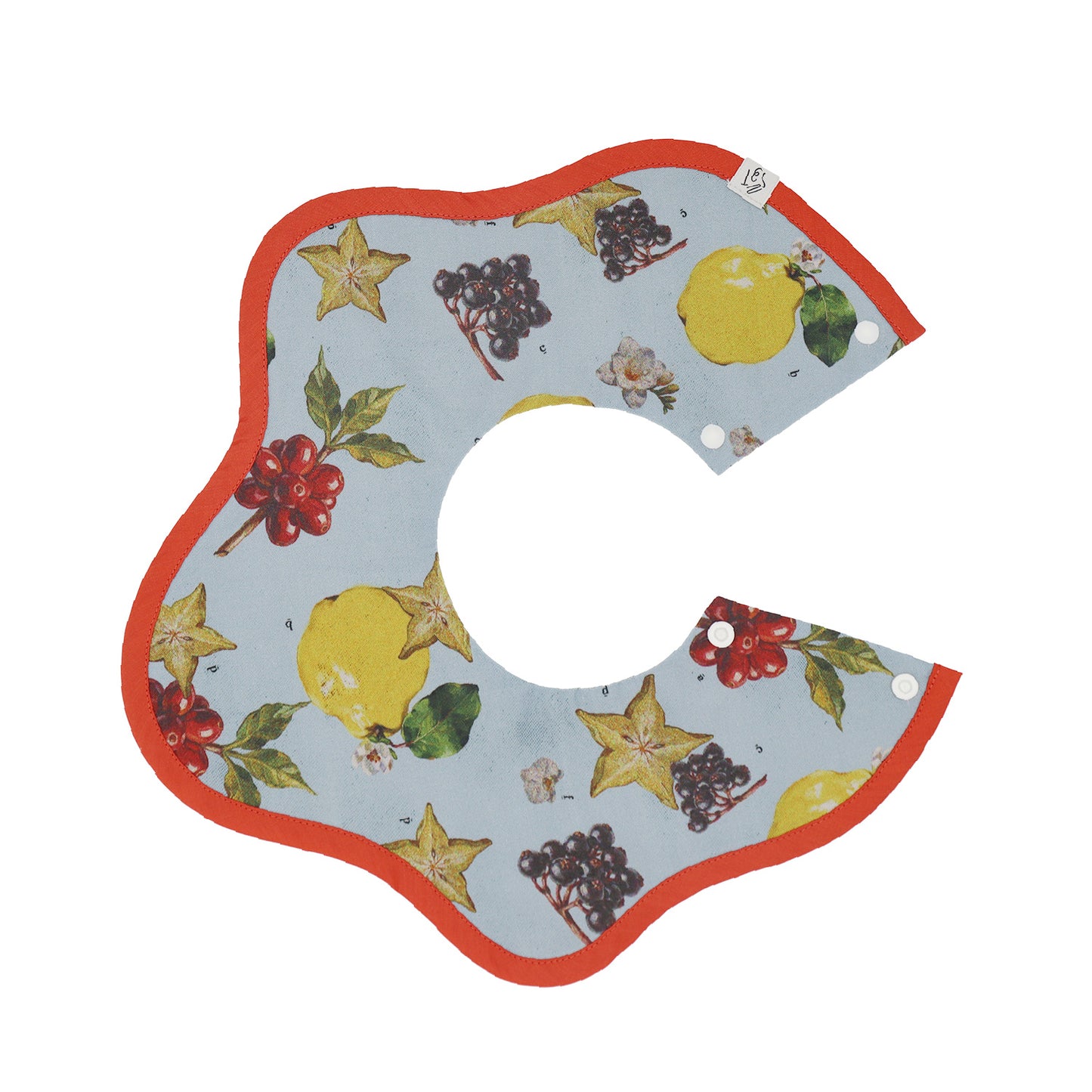 なぞなぞフルーツスタイ