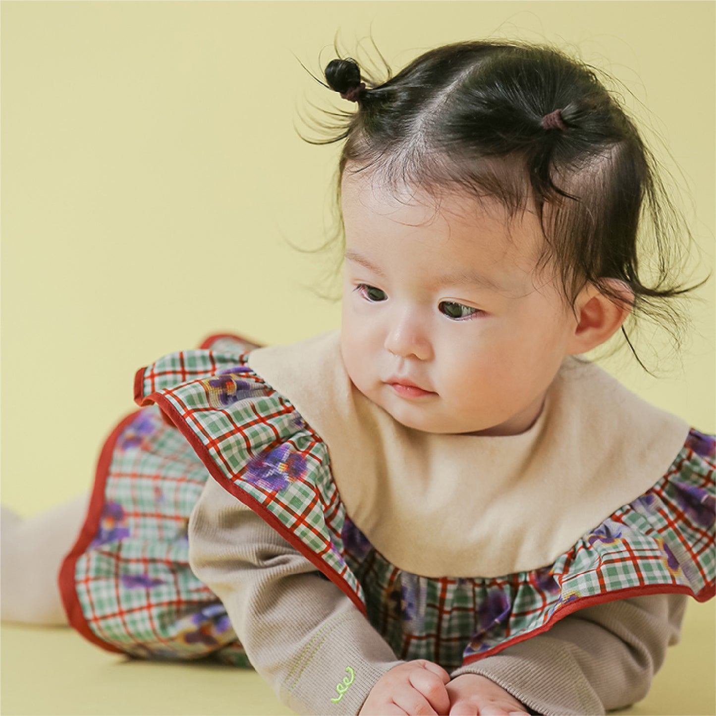 パンジーフリルスタイ