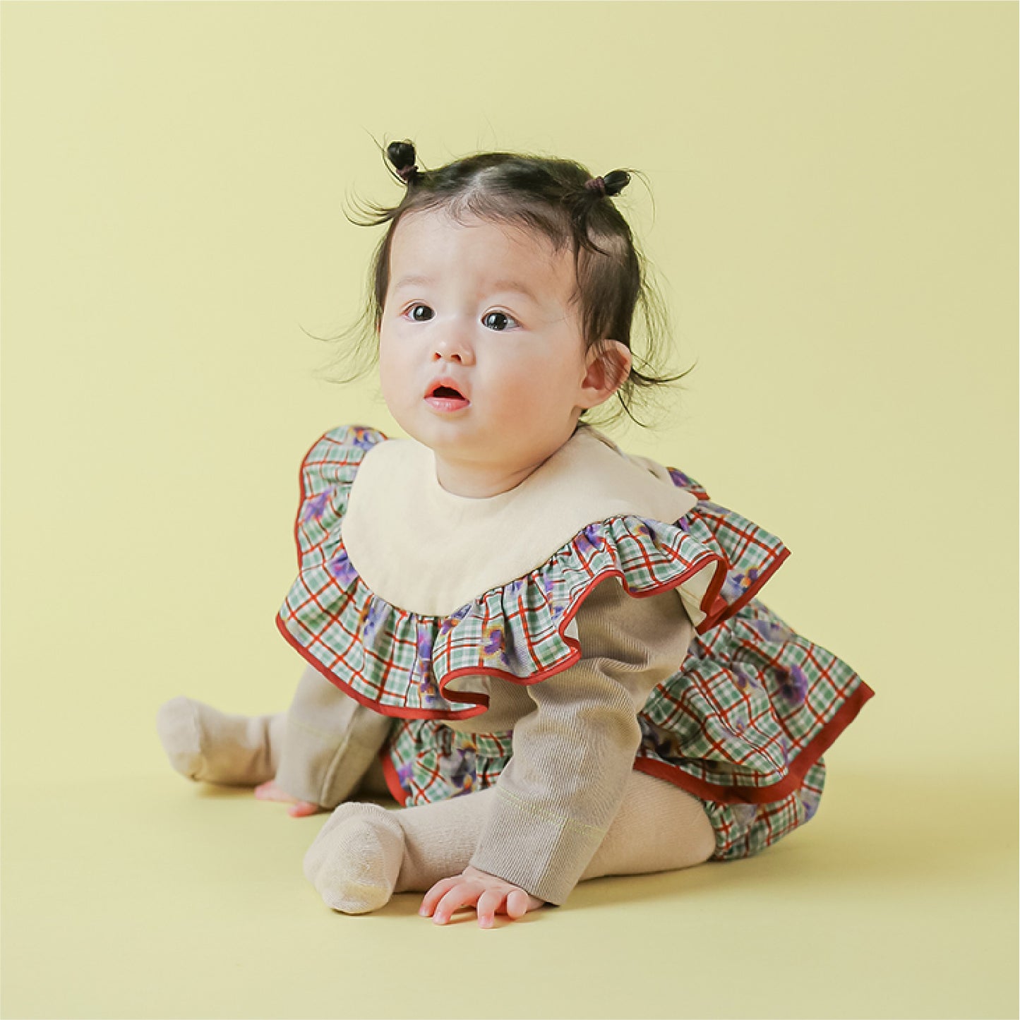 パンジーフリルスタイ