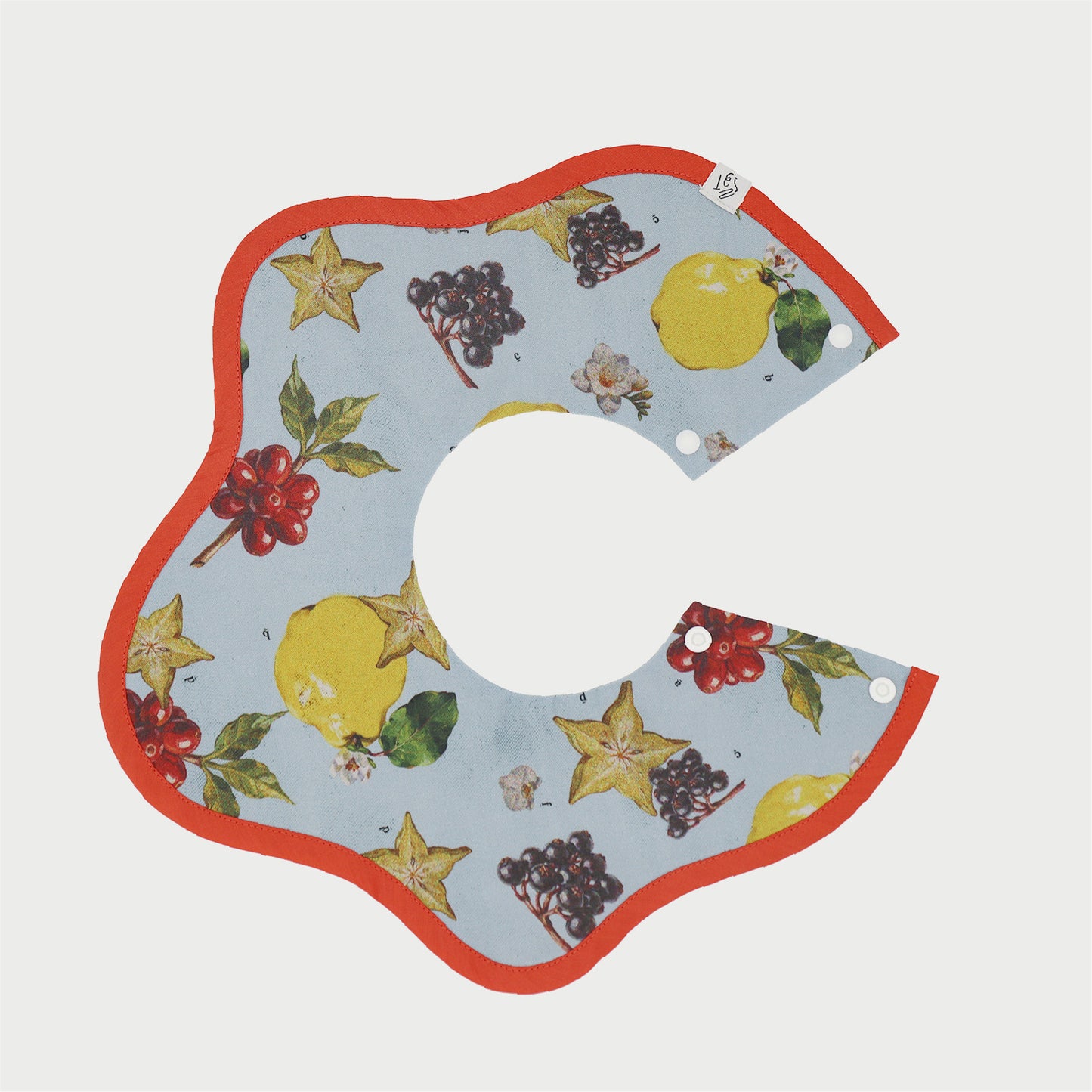 なぞなぞフルーツスタイ