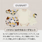 SNSですぐに贈れるカタログeGift  | ベストコーデセット ( 半袖・ブルマ )