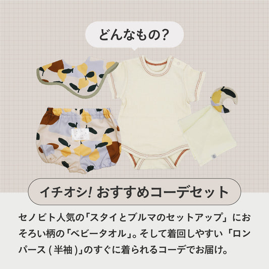 SNSですぐに贈れるカタログeGift  | ベストコーデセット ( 半袖・ブルマ )