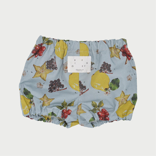 なぞなぞフルーツベビーブルマ