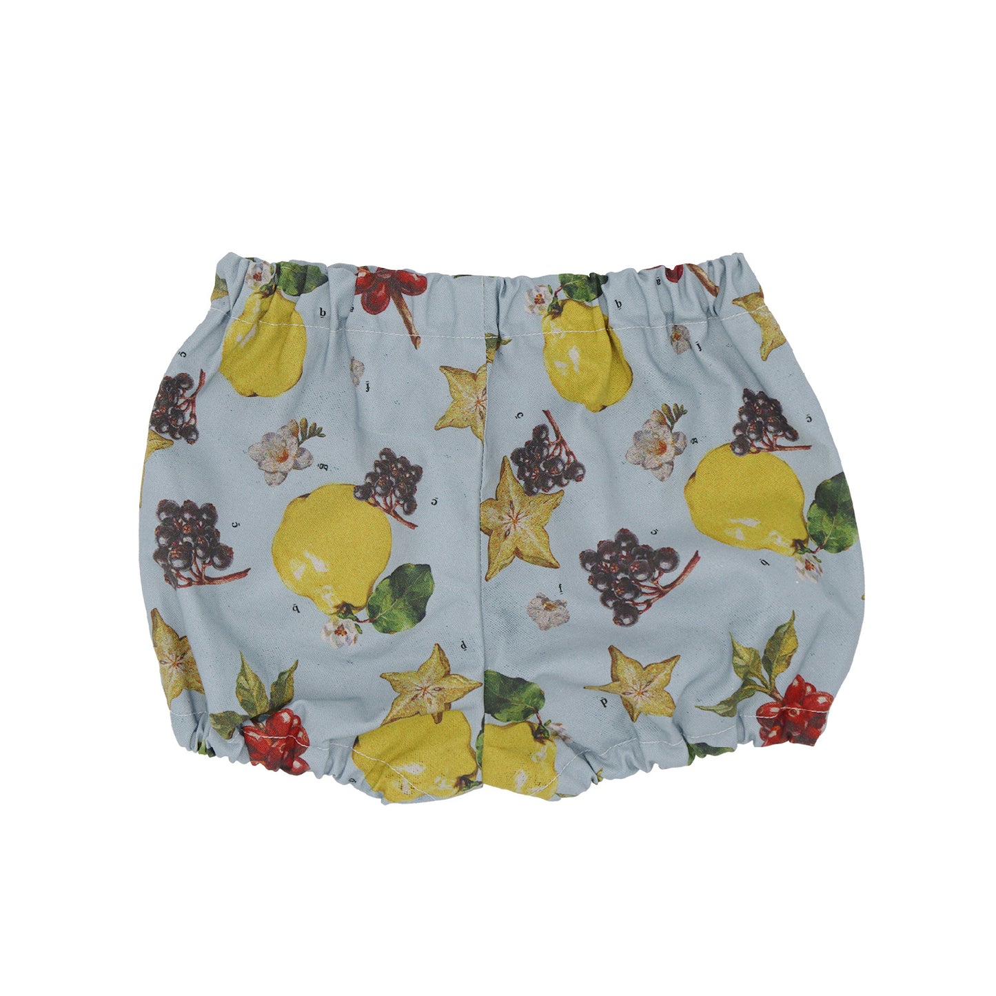 なぞなぞフルーツベビーブルマ
