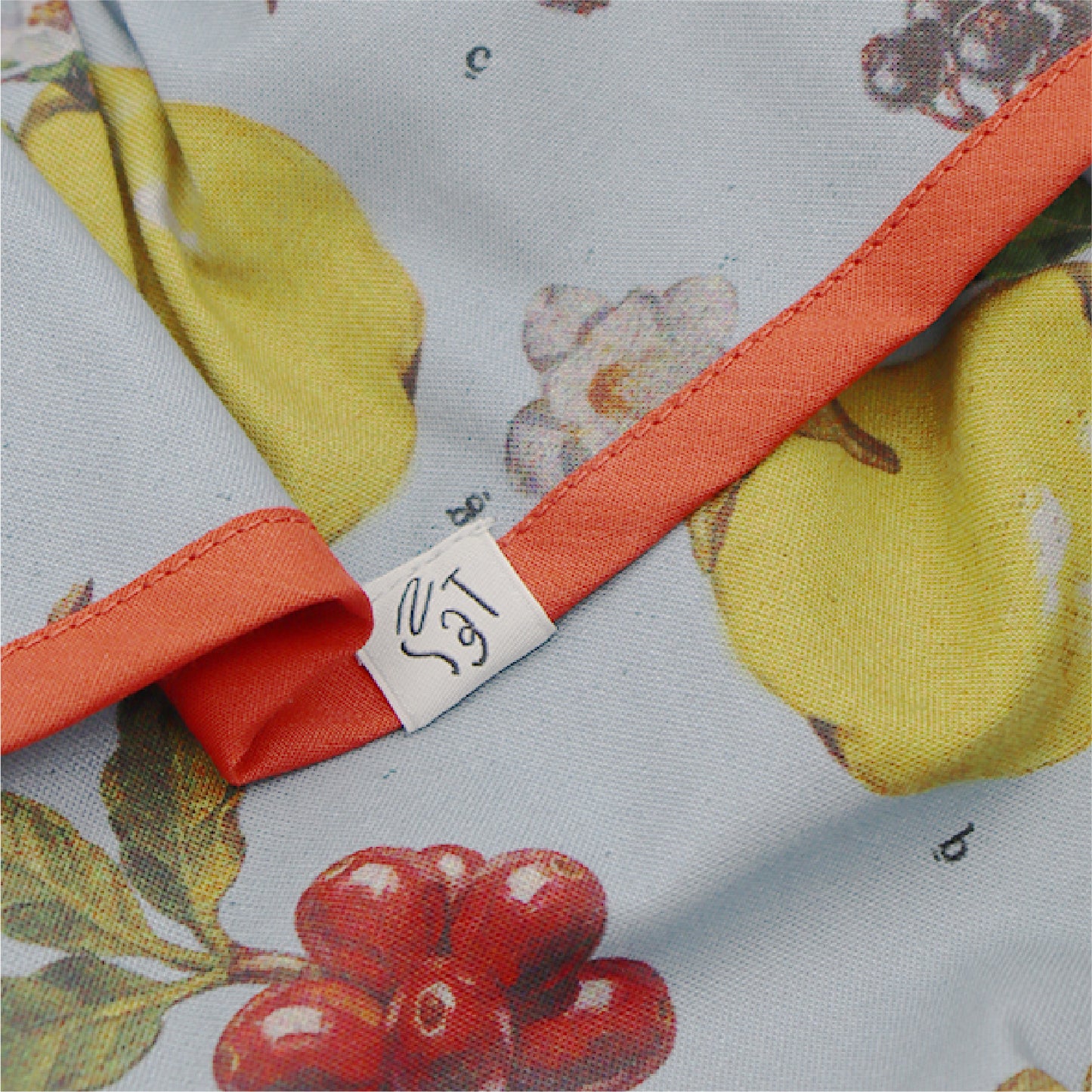 なぞなぞフルーツチュチュブルマ