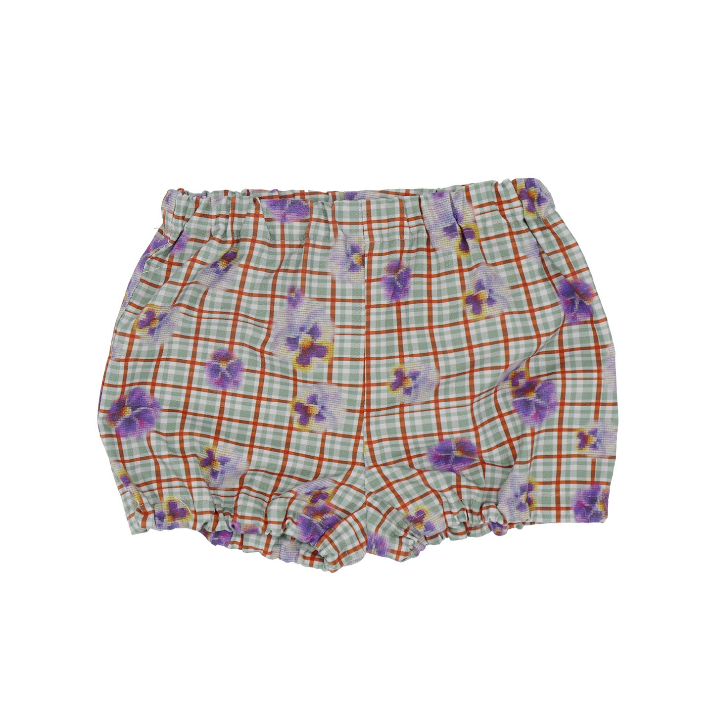 パンジーベビーブルマ