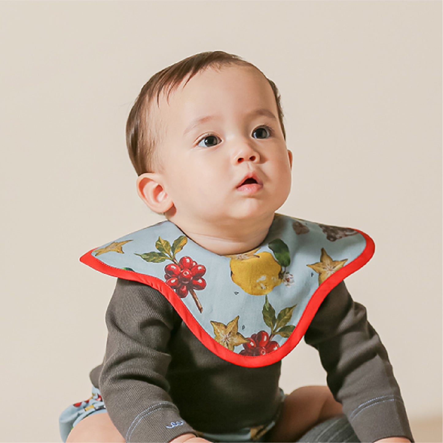 なぞなぞフルーツスタイ