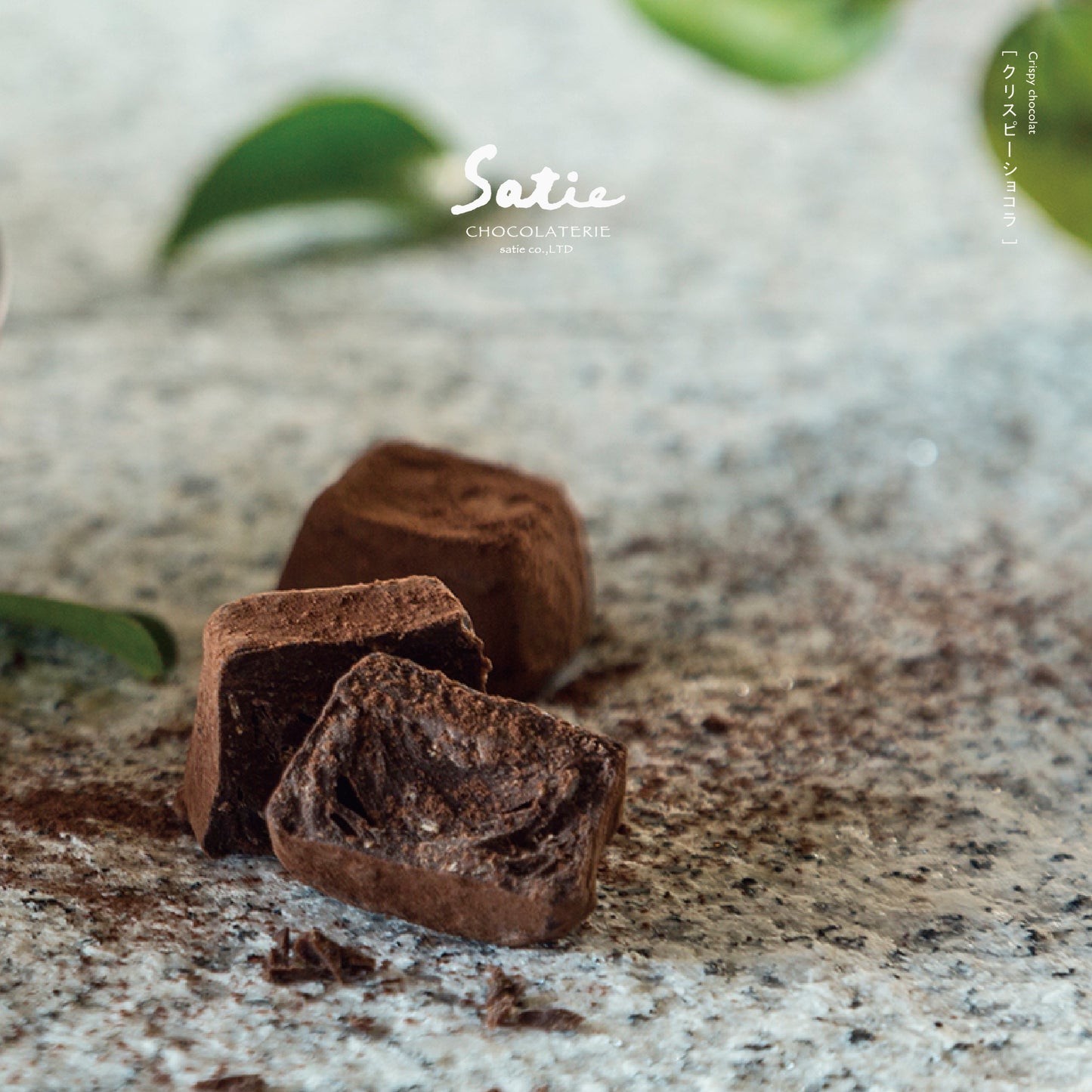 【クール便にて別送】[ Satie collaboration Chocolat ] MIX  - ミックス - ( 10個入り)